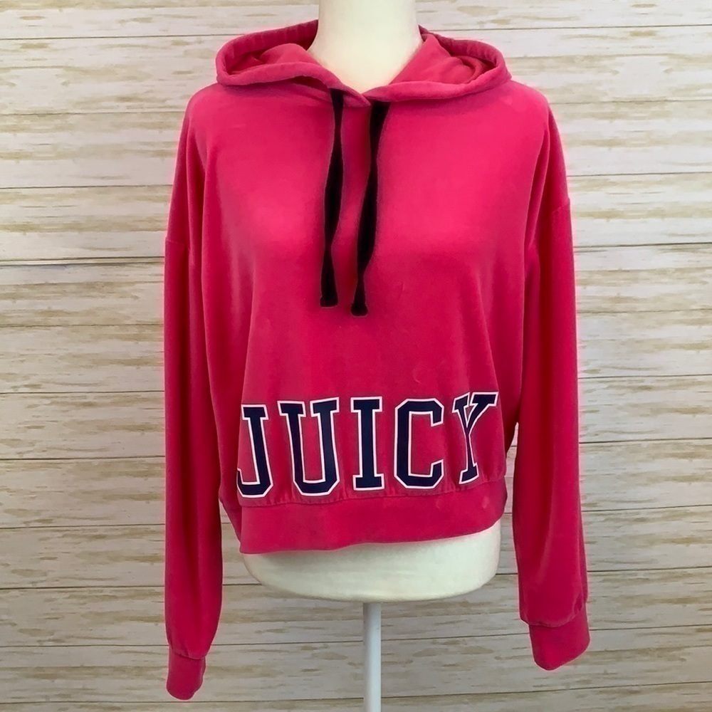Juicy Couture Cropped Velvet Hoodie